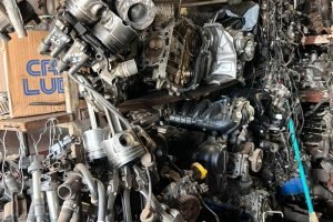 WhatsApp Image 2025-05-26 at 13.31.54 (1)