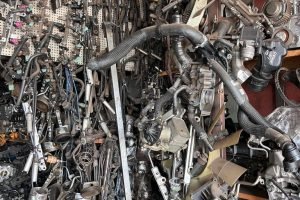 WhatsApp Image 2025-05-26 at 13.31.55 (3)