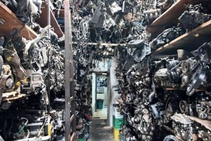 WhatsApp Image 2025-05-26 at 13.31.56